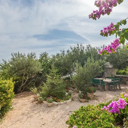 Apartman Jure Sea View Makarska