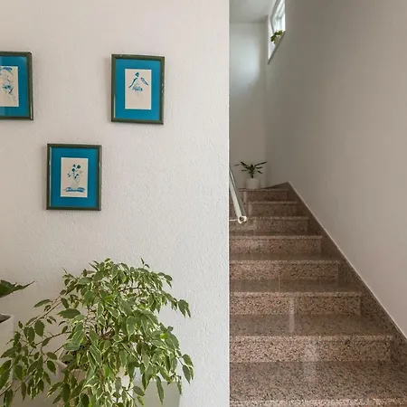 Apartman Jure Sea View