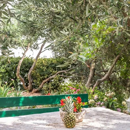 Jure Apartment Makarska